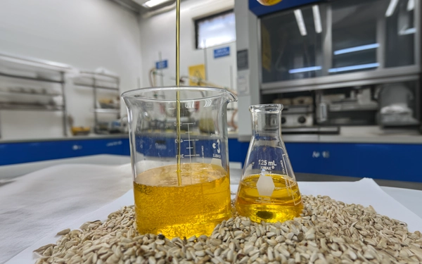 Aceite de Cártamo Linoleico RBD