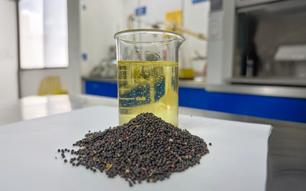 Fábrica de aceite de canola Fábrica de aceite de canola