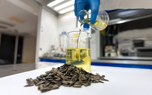 Fabrica de aceite de girasol