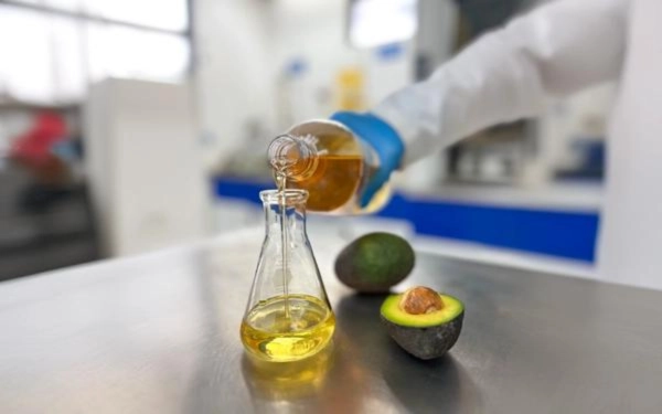 avocado oil factory avocado oil factory